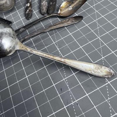 Silver Plated Teaspoons (8)