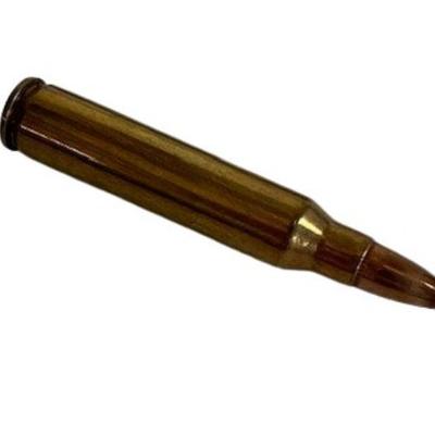 .223 Reload Ammunition (NO SHIPPING)