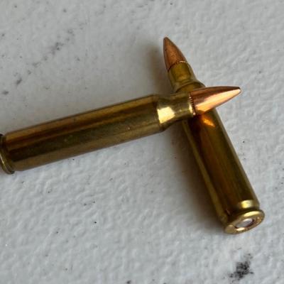 .223 Reload Ammunition (NO SHIPPING)