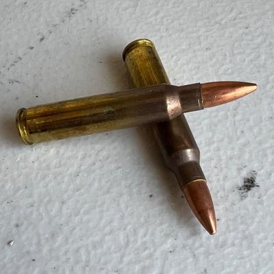 .223 Reload Ammunition (NO SHIPPING)