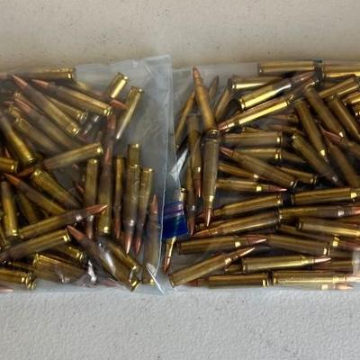 .223 Reload Ammunition (NO SHIPPING)