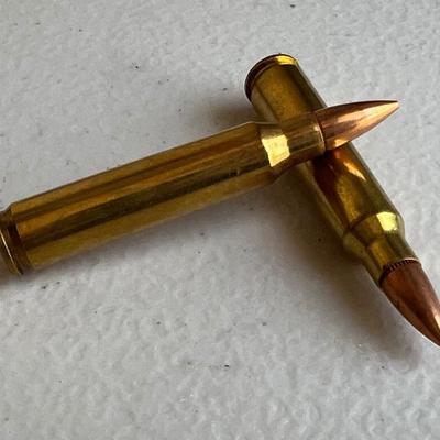 .223 Reload Ammunition (NO SHIPPING)