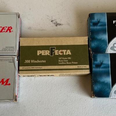 .308 Ammunition Assortment (NO SHIPPING)