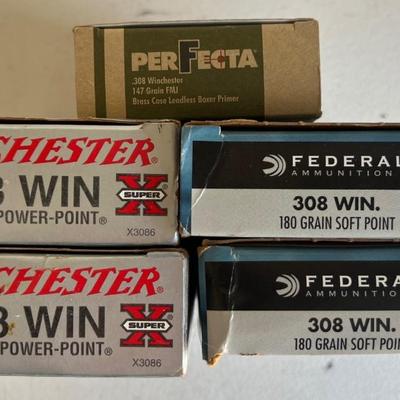 .308 Ammunition Assortment (NO SHIPPING)