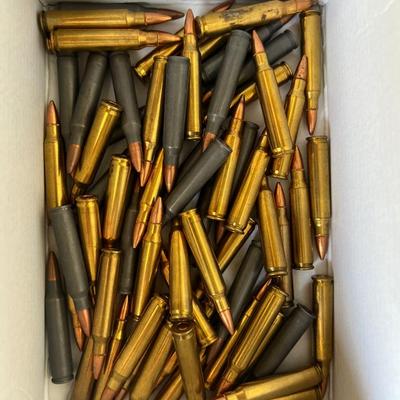 Ammunition Assortment (NO SHIPPING)