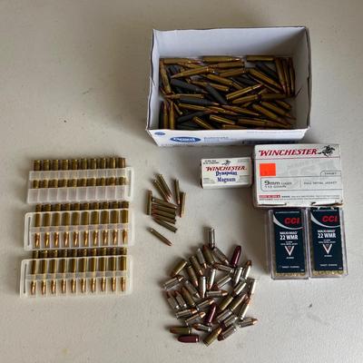Ammunition Assortment (NO SHIPPING)