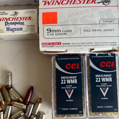 Ammunition Assortment (NO SHIPPING)