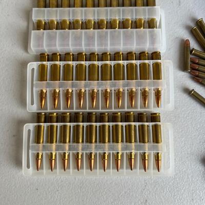 Ammunition Assortment (NO SHIPPING)