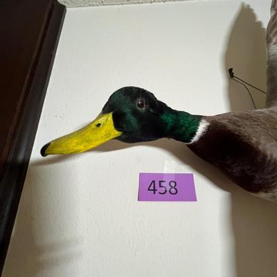 Mallard Duck Trophy