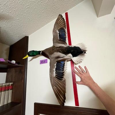 Mallard Duck Trophy