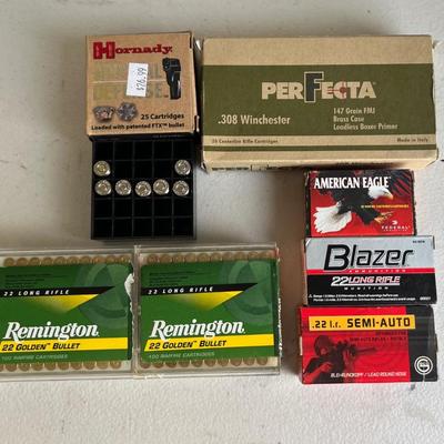 Ammunition Assortment (NO SHIPPING)