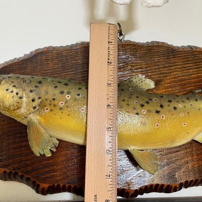 Trout mount