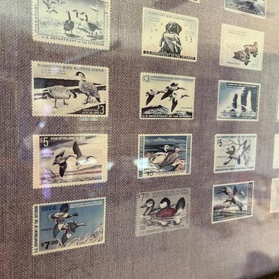 Duck Stamps print