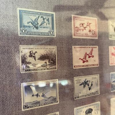 Duck Stamps print