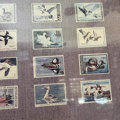 Duck Stamps print