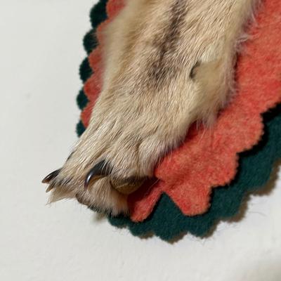 Coyote rug