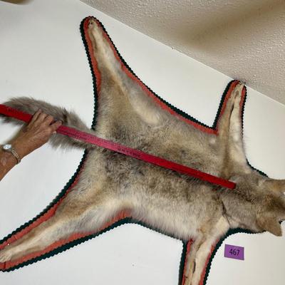 Coyote rug