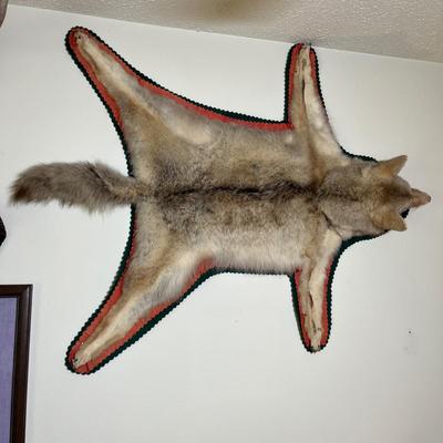 Coyote rug