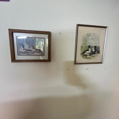 Waterfoul prints