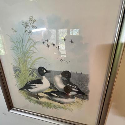 Waterfoul prints