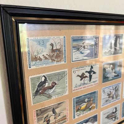 Framed Duck Stamps