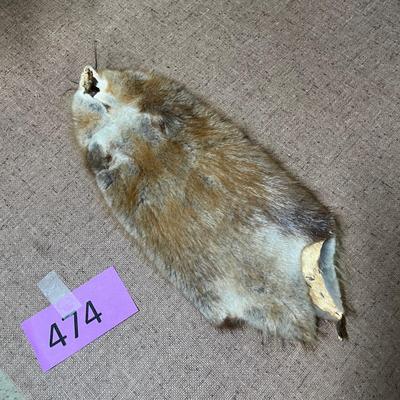 Pelt muskrat?