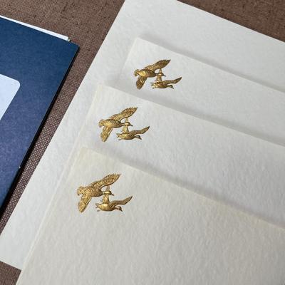 Ducks stationary