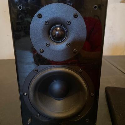 ERA DESIGN 5 SATELLITE SPEAKER