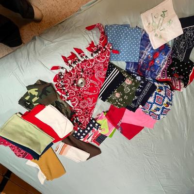 Lot of scarves & hankies