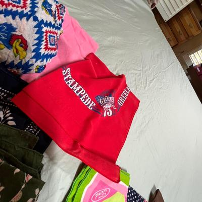 Lot of scarves & hankies