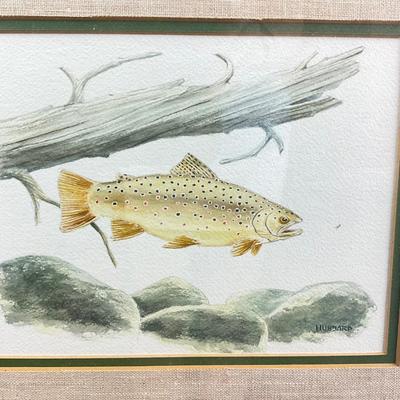 1088 Vintage Original Watercolor of Fish Signed Hubbard