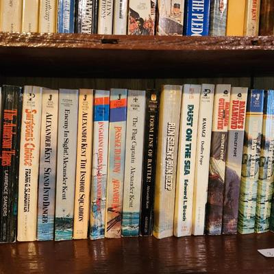 3 Full Shelves of Paperback Books