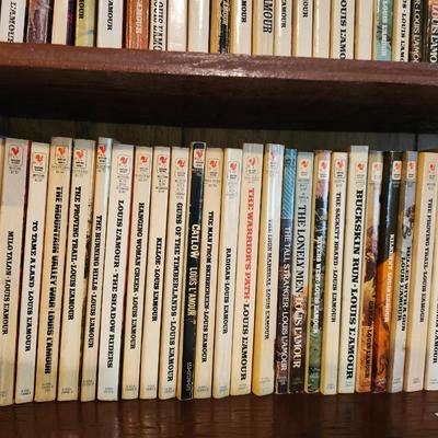 3 Full Shelves of Paperback Books