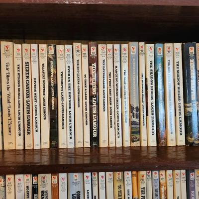 3 Full Shelves of Paperback Books