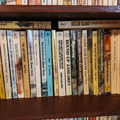 3 Full Shelves of Paperback Books