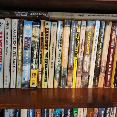 3 Full Shelves of Paperback Books