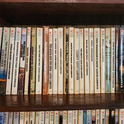 3 Full Shelves of Paperback Books