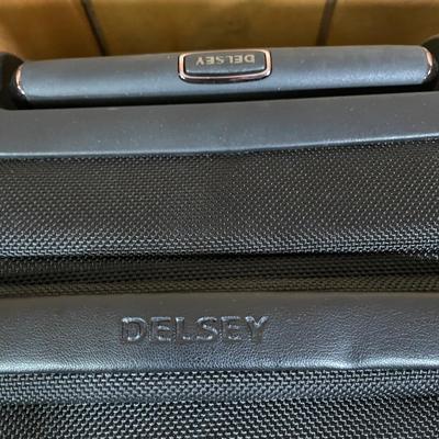 LOT 53B: Samsonite/Delsey Luggage Collection