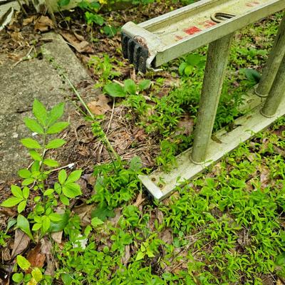 32' Aluminum Extension Ladder (D-JS)