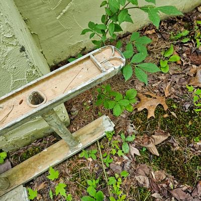 32' Aluminum Extension Ladder (D-JS)