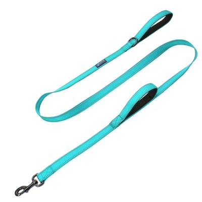 NWT Max and Neo Teal/Aqua Double Handled 6' Nylon Training/ Secure Leash