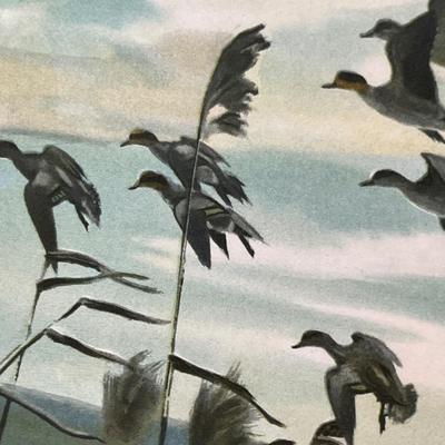 Small waterfowl print