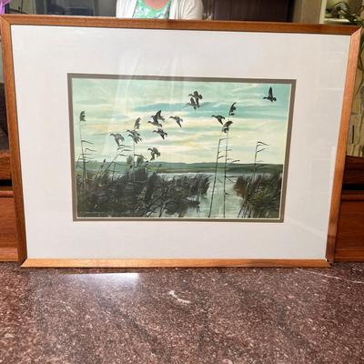 Small waterfowl print