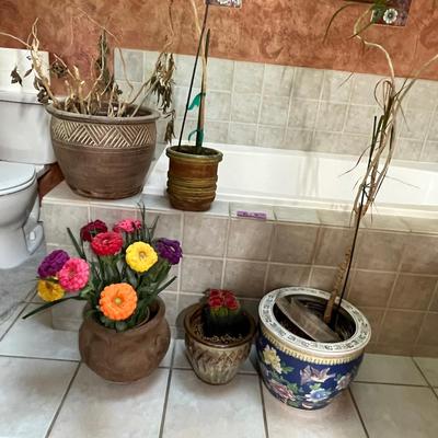 Lot of flower pots