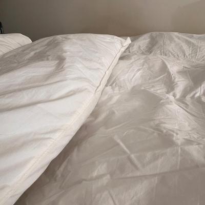 Duvet Inserts (P-DZ)