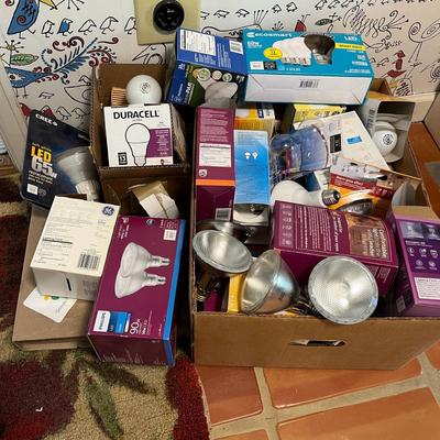 Big box of light bulbs