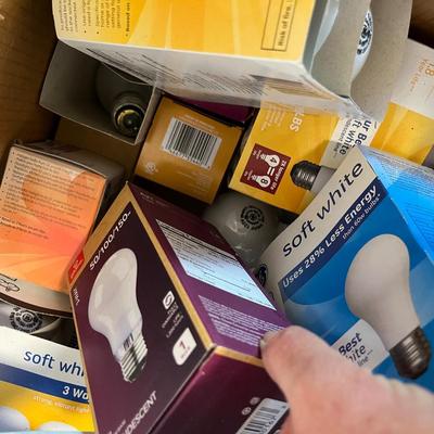 Big box of light bulbs