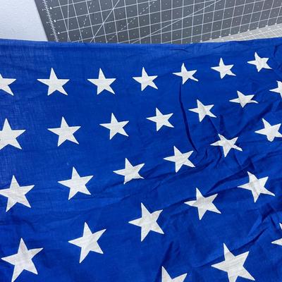 48 Star Flag WOW!!! 
