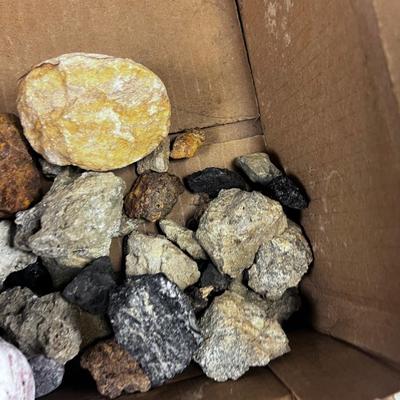 Box of ROCKS 