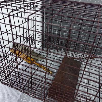 Racoon WIRE TRAP 